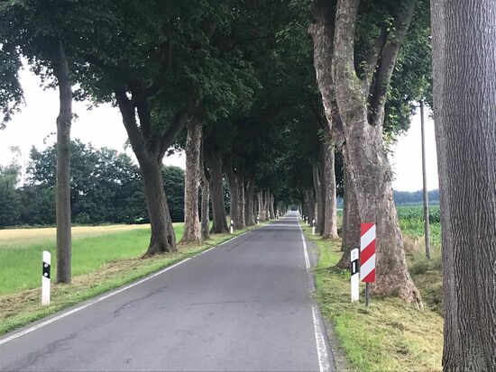 Hier kann man aber gut fahren, es ist auch fast nichts los