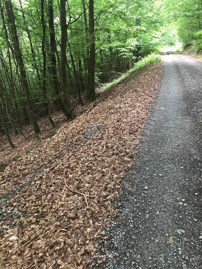 Hier wird es schon etwas schwieriger, der Schotter ist zum Teil lose und links geht es gut den Hang hinunter.