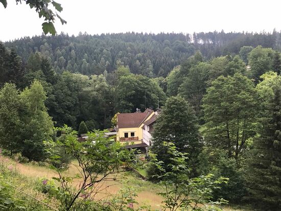 Und wenn man ganz oben ist, geht es meistens wieder runter, da muss ich hin