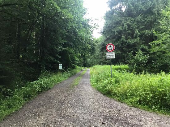 Ein paar hundert Meter nach dem Start geht es auf zur ersten Bergwertung auf guten Wegen.