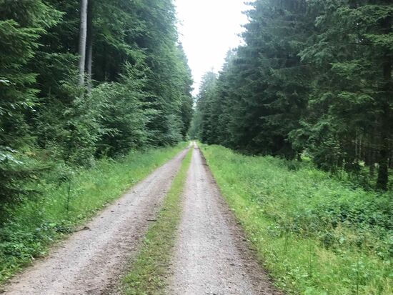 Ein großer Teil des Weges geht über solche Wege...