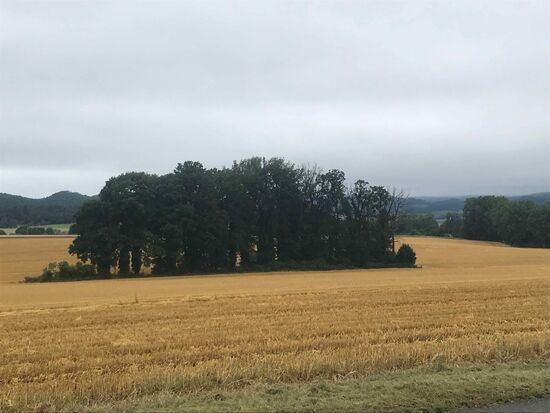 Dann lieber weiter durch schöne Felder