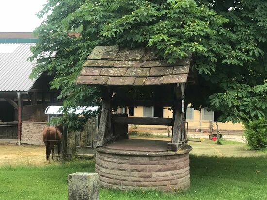 Auch das sieht man hier noch öfter