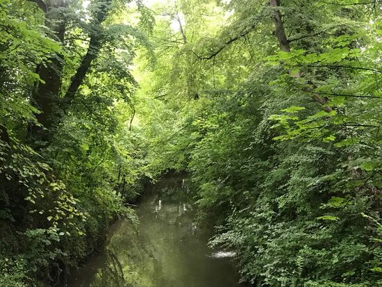Auf kleinenPfaden nach Einbeck.