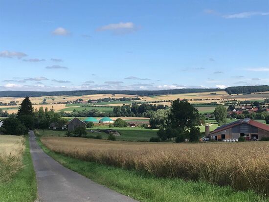 Harzausläufer im Blick