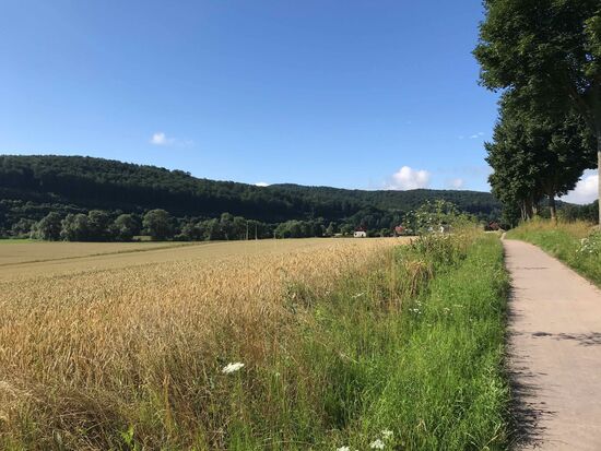 Dann geht es wieder auf guten Wegen durch Felder und Wälder.