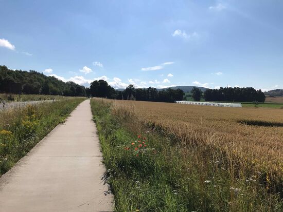 So geht es aus Goslar raus, schöner Radweg entlang der Landstraße.