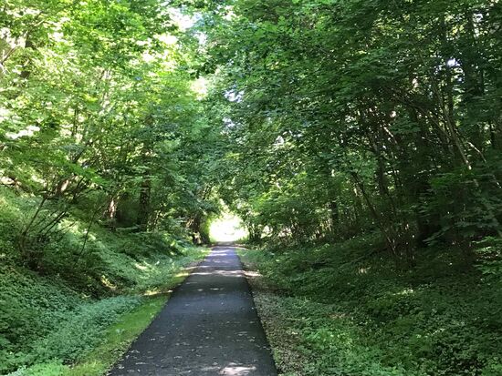 Auf dem "Skulpturenweg", allerdings ohne Skulpturen