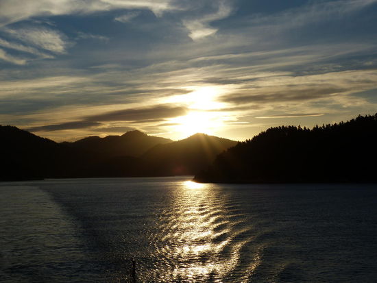 Der Abschied von der Südinsel- die Fahrt durch den Malborough Sound...