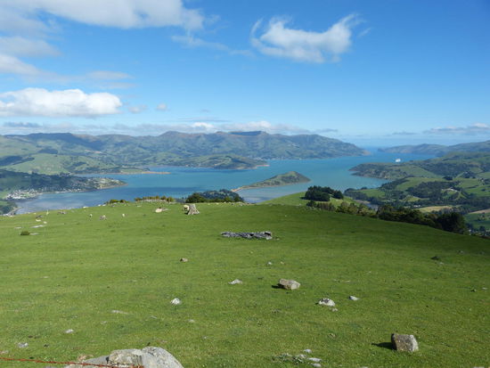 Aussicht von der Banks Peninsula auf Akaroa Harbour