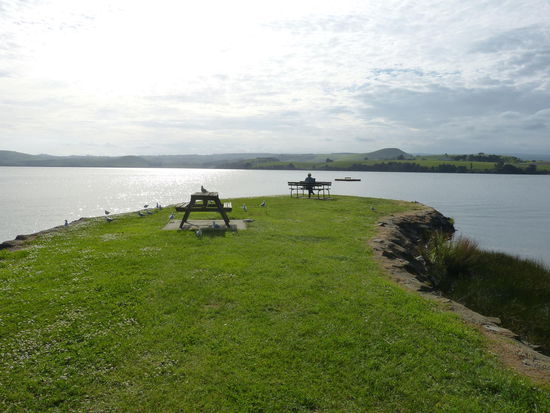 Blog schreiben am Lake Waihola 