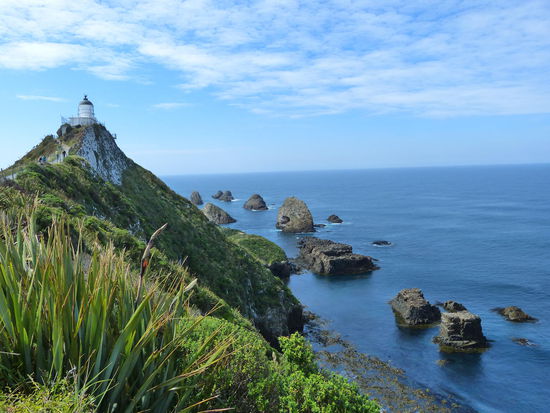 Nugget Point in den Catlins (der "am weitesten von zu Hause weg"- Punkt)