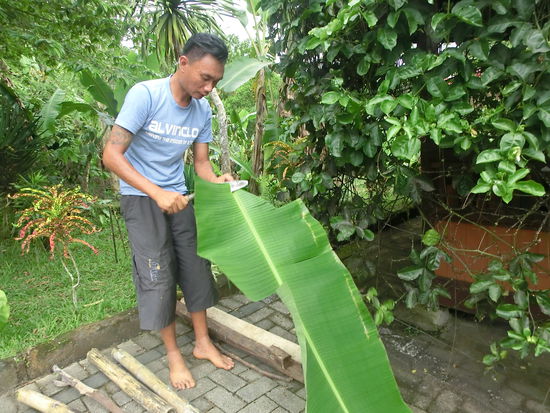 Bananenblatt aus Nachbars Garten unterteilen und falten um die Bamusstäbe zu  verschließen