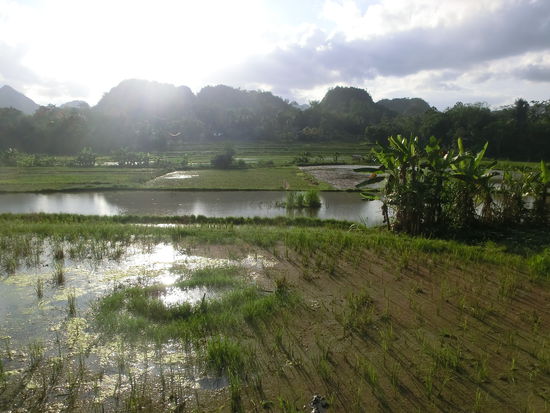 Reisterassen für Maritta  