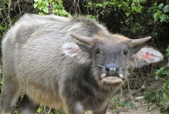 Ines - extra für Dich!