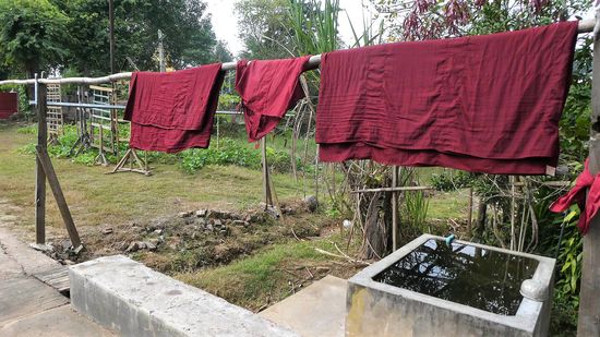 die Mönche waschen selber