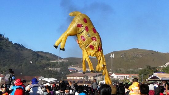 der Hirsch ist leider nicht hochgekommen.  Zu schwierig, die Luft in Kopf und Geweih zu bekommen