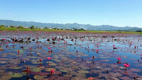 ein Traum, da durch zu schippern