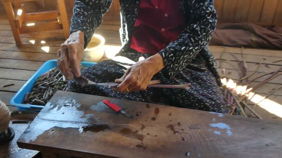 die Lotusstengel wirde eingeritzt und aufgebrochen, zusammengedreht und verzwirbelt. immer nur ein paar wenige Zentimeter.