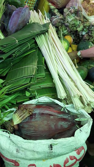 das rote vorne sind Bananenblüten