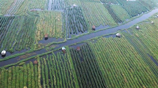 die Häuschen sind keine Wohnhäuser, sondern Sonnenschutz zum Ausruhen für die Menschen, die in ihren Gärten arbeiten