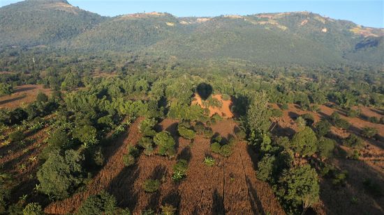 zur Landung angesetzt. Knapp neben einem Baum vorbei. Ganz schön aufregend