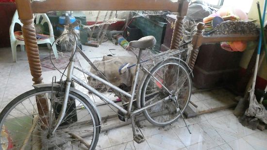 hinter Buddhas Rücken. Das Rad ist wohl lange nicht mehr benutzt worden.