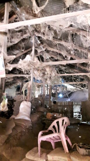 was wohl die Gewerkschaft dazu sagen würde....