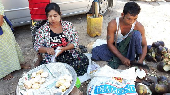 Palmtreefrüchte - dank Thakin lerne ich heute wieder einige neue Früchte kennen