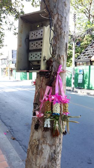Opfergaben für Buddha am Stromkasten? Ob das eine tiefere Bedeutung hat?