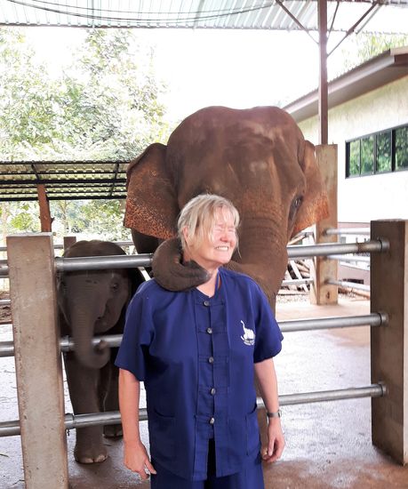 Küsschen geben Iiiiiihhhhh, und wie das geschmatzt hat