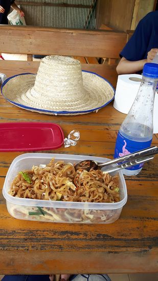 wir werden dann auch gefüttert