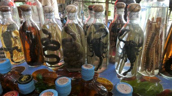 Halt in Lao Lao Village. Hier kann man Lao Whiskey und Reisschnaps kaufen. Mit allerlei Ungeziefer drin. Das soll angeblich positive Effekte auf die Gesundheit haben.