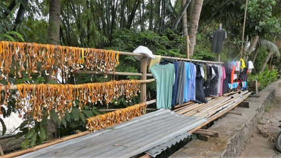 Orangenschalen und Wäsche zum Trocknen