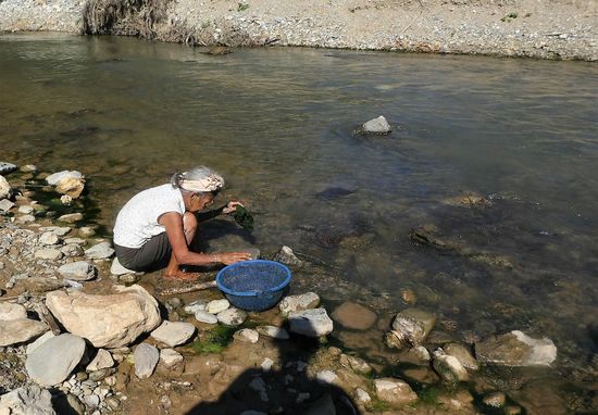 diese Frau wäscht Algen, so wie es aussieht, und klopft immer wieder darauf ein.