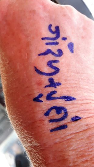 damit ich nicht verloren gehe, krieg ich auf die Hand gemalt, was ich gebucht habe, dabei ich ja wirklich am auffälligsten zwischen all den Asiaten