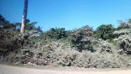 so sieht der Straßenrand fast der gesamten Strecke aus - grau braun eingestaubt
