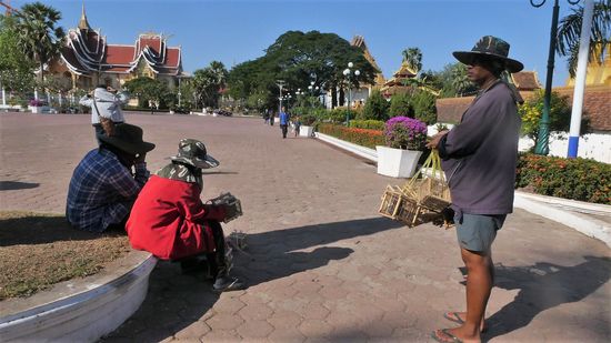 es soll Glück bringen, Vögel frei zu lassen. Irgendwo habe ich gelesen, dass die Vögel nach einer Weile brav zu ihrer Futterstelle zurückkehren sollen