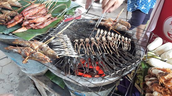 Am Ausgang die üblichen Freßstände. Diesmal Frösche in klein, bestimmt als Knabberei - schön kross