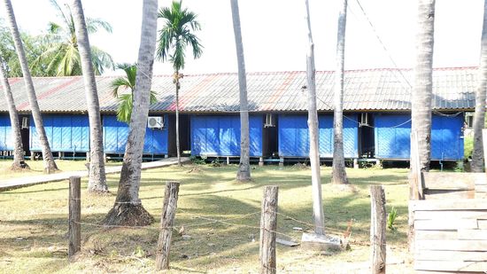 einer davon ist meiner - ich weiß, sieht von hinten scheußlich aus.