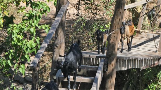 die kennen ihren Weg