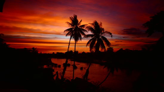und noch einer - die sind aber auch sowas von schön!