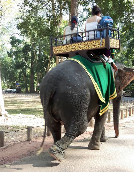 hier darf noch geritten werden