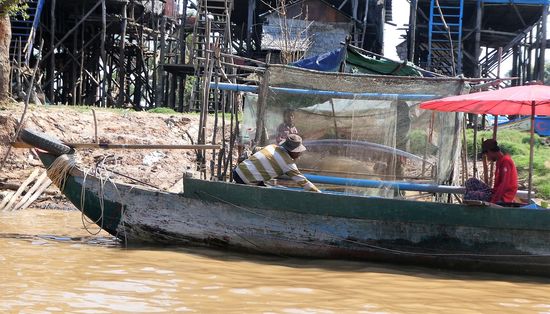 die Fische werden aus den Netzen geholt
