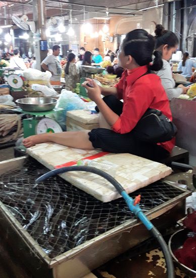 auch über den Fischen ist es gemütlich