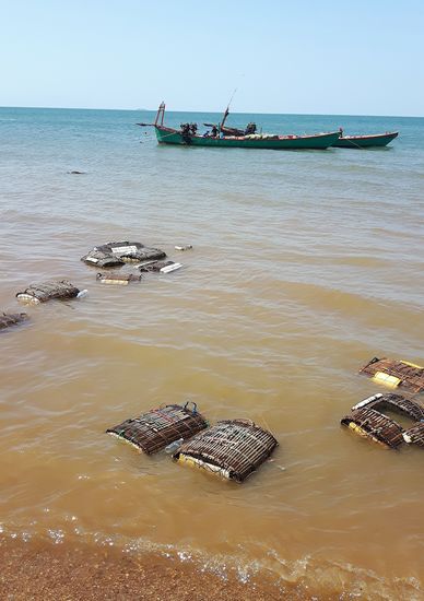 in den Körben im Wasser werden die Krebse gelagert