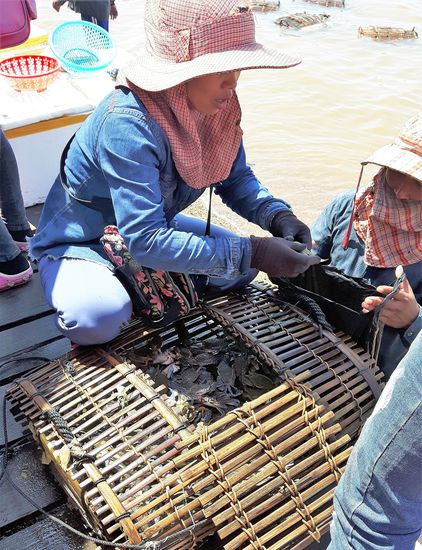 um dann sorgfältig ausgesucht, sie ihrem Schicksal nicht entgegen werden