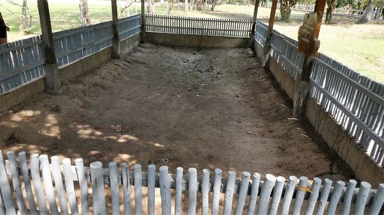 Massengräber,  die Gebeine von über 160 Menschen wurden hier gefunden. Die Menschen mussten sich davor knien, und wurden dann erschlagen. Wer noch nicht tot war, wurde mit DDT übersprüht