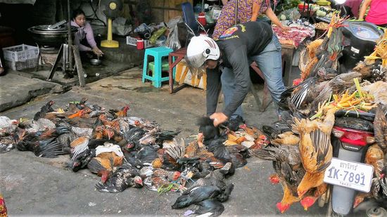 die leben übrigens alle (noch)
