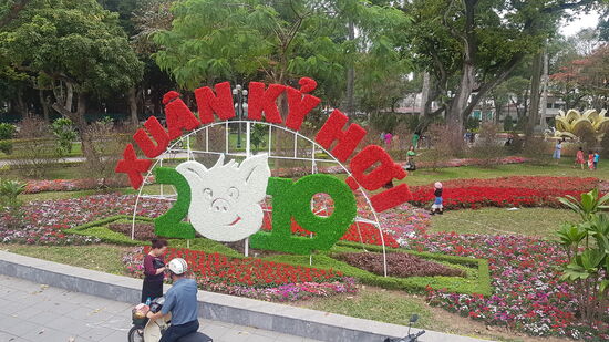 das Jahr des Schweins